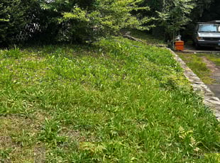 Weeding by Angel P. for Amber B. in Falls Church, VA