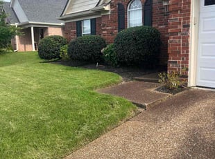 Bush Trimming by James Franks for Rodney M. in Cordova, TN