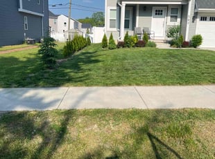 Ryan C.'s Yard Cutting service result