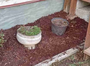 Mulching by Lance Reynolds for Marcus N. in Kansas City, MO
