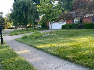 Nina C.'s Yard Cutting service result