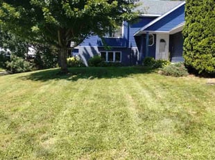 Ron S.'s Lawn Mowing service result