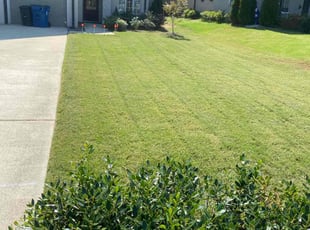 Jennifer B.'s Grass Cutting service result