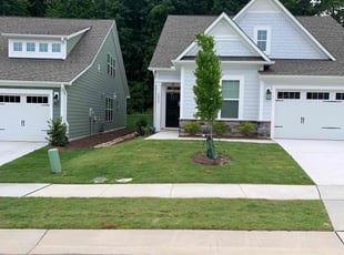 Austin D.'s Lawn Mowing service result