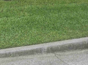 Holly L.'s Lawn Mowing service result
