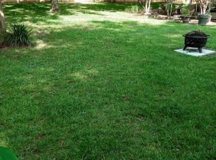 Sue H.'s Lawn Care service result