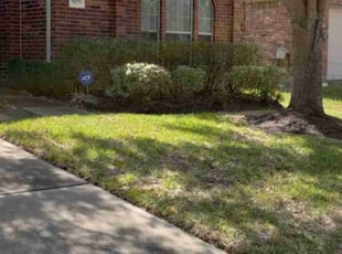 Bush Trimming by Kimberly Dugat for Ashley C. in Richmond, TX