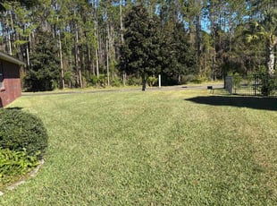 Alisha A.'s Lawn Care service result