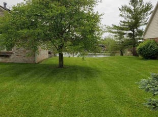David T.'s Lawn Mowing Service service result