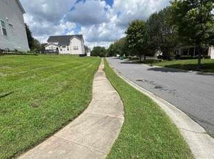 Tony N.'s Lawn Mowing service result