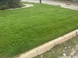 Nathaniel B.'s Lawn Mowing service result