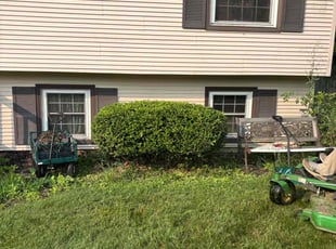 Bush Trimming by David Dangler for Anaka P. in Battle Creek, MI