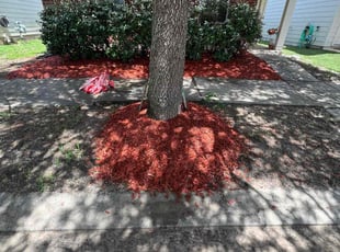Mulching by Timothy Flores for Belicia N. in Katy, TX