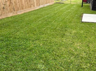 Charles C.'s Lawn Maintenance service result