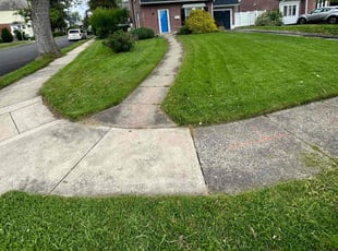 Patricia C.'s Grass Cutting service result