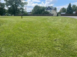 Bill L.'s Grass Cutting service result