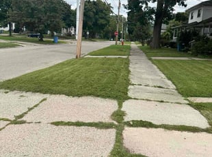 Katherine C.'s Lawn Service service result