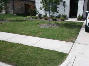 Jesse V.'s Lawn Mowing service result