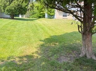 Dee G.'s Yard Cutting service result