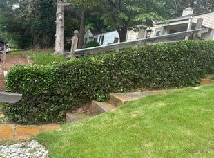 Bush Trimming by Yaneth Figueroa for Robert M. in Atlanta, GA