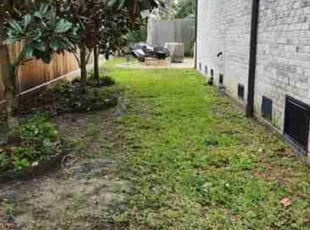 Leaf Removal by Ana Zelaya for Robert L. in Houston, TX