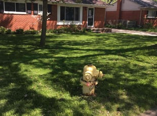 Mary O.'s Lawn Maintenance service result