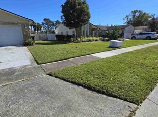 Octavia P.'s Lawn Care service result