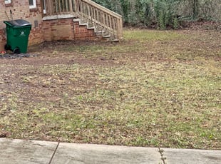 Leaf Removal by Marco Antenor for Natalie M. in Charlotte, NC