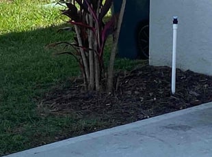 Weeding by Nathan Massey for Carina B. in Auburndale, FL