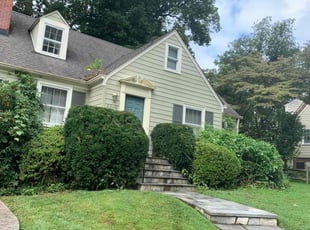 Bush Trimming by candelario castillo for Jeff S. in Falls Church, VA