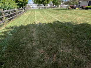 Tracey N.'s Lawn Mowing service result