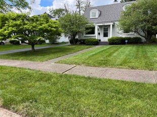 Marjorie J.'s Lawn Mowing service result