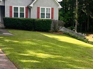 Bush Trimming by Lamarcus Shorter for Aubrey F. in Sharpsburg, GA