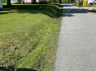 JOSHUA B.'s Lawn Care service result