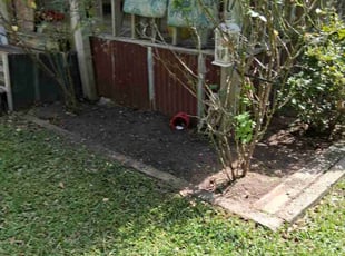 Weeding by Juan Vera for Lori A. in Willis, TX