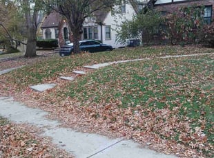 Leaf Removal by Christian Johnson for James L. in Kansas City, MO