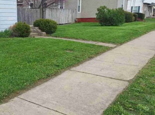 Len S.'s Grass Cutting service result