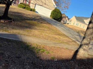 Leaf Removal by Jovon Braddy for Michael B. in College Park, GA