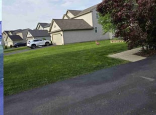 Lakshmi N.'s Lawn Care service result