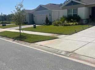 Tim D.'s Grass Cutting service result