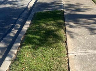 Diana W.'s Grass Cutting service result