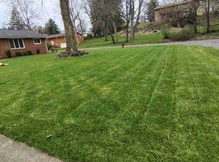 John A.'s Lawn Mowing Service service result