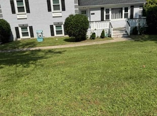 Pallavi C.'s Lawn Service service result