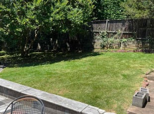Cleanups by Samuel Saravia for Jonathan H. in Washington, DC