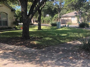 Sharon T.'s Lawn Mowing service result
