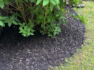 Mulching by Thomas Cottle for Connor M. in Toano, VA
