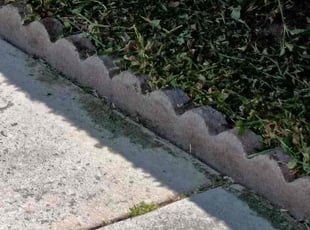 Weeding by Fernando Gomez Rodriguez for Clinton S. in Compton, CA