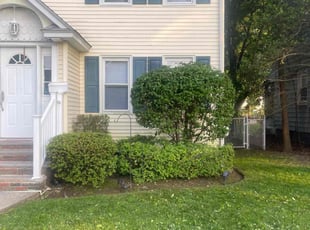Bush Trimming by Nelson Guerrero for Raheen H. in Bloomfield, NJ