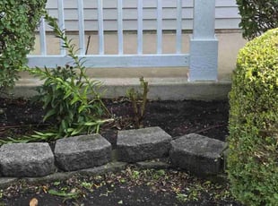 Weeding by Nicholas Sarcletti for Brittany B. in Plainfield, IL