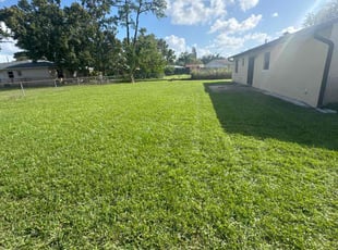 Aida R.'s Lawn Mowing Service service result